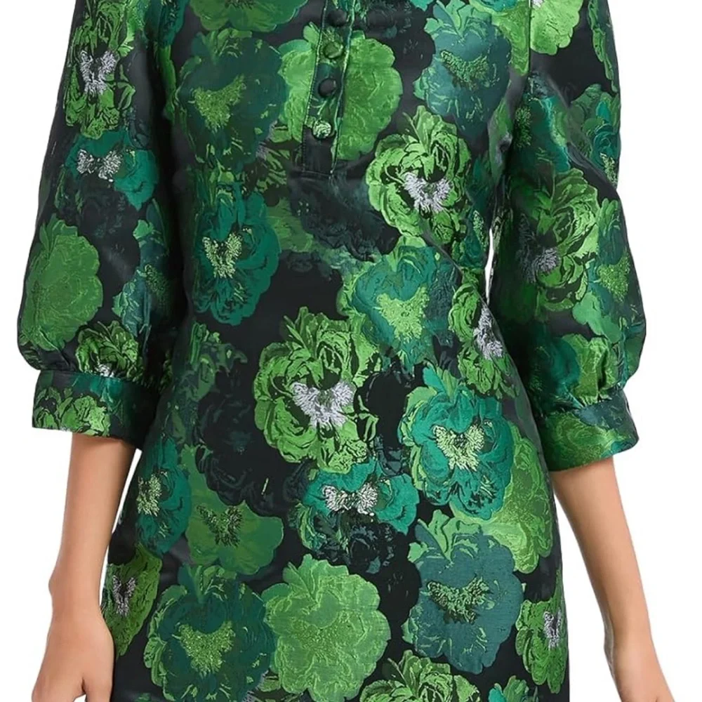 Floral Puff Sleeve Jacquard Dress - Picture 2 of 2